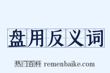 盘用反义词是什么意思的图片